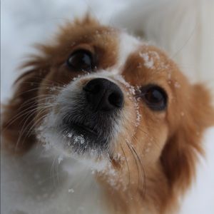 Meet your Posher, Max